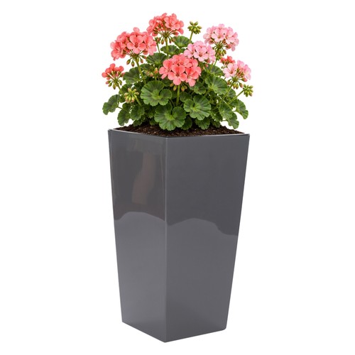 Blumentopf xxl groß eckig - blumentopf,