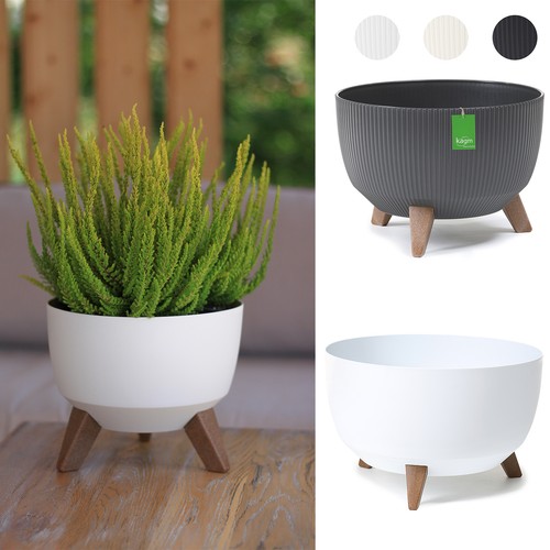 Blumentopf pflanzschale mit - blumentopf,