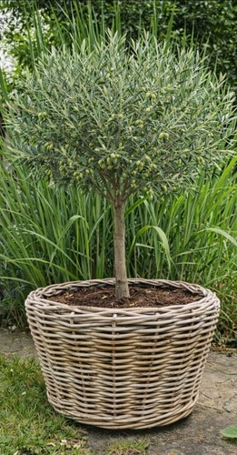Van der leeden - der, drypot®
