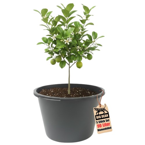 Blumenkübel xxl liter - xxl, rund