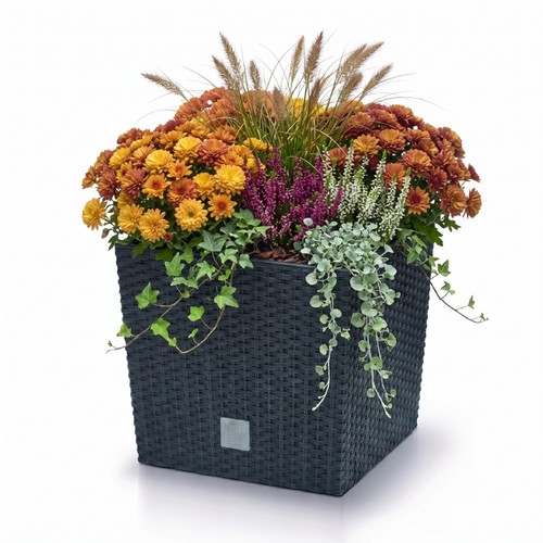 Prosperplast blumentopf - prosperplast,
