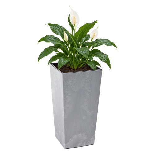 Blumenkübel xxl groß eckig - groß,