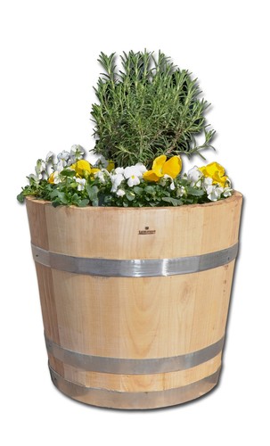 Blumentopf pflanzkübel - blumentopf,